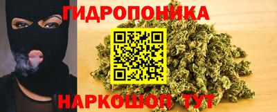шишки Краснокаменск
